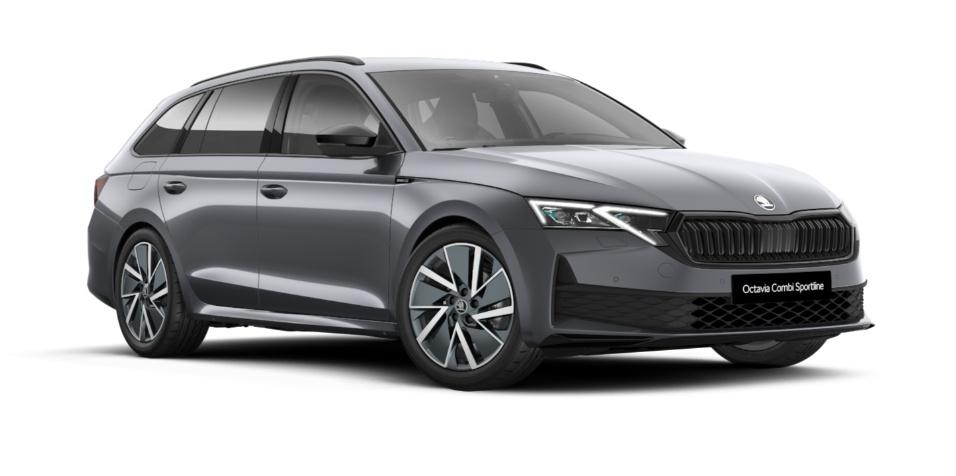 Arctic Go+ - Skoda Octavia